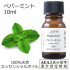 Натуральное эфирное масло мяты ASH Peppermint