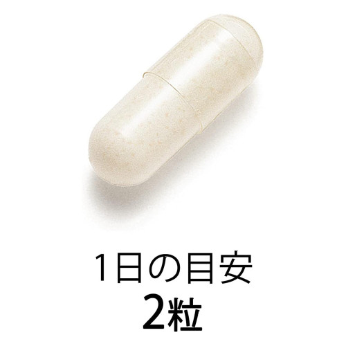 Intestinal Support FANCL — комплекс бифидобактерий для здоровья кишечника