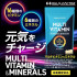 Комплекс витаминов и минералов Hulx Factor Multivitamin Multimineral — 16 витаминов и 6 минералов