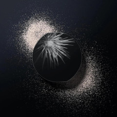 Рассыпчатая пудра POLA B.A FINISHING POWDER N