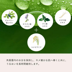 Увлажняющий крем по уходу за кожей для мужчин Quattro Botanico, 50 гр
