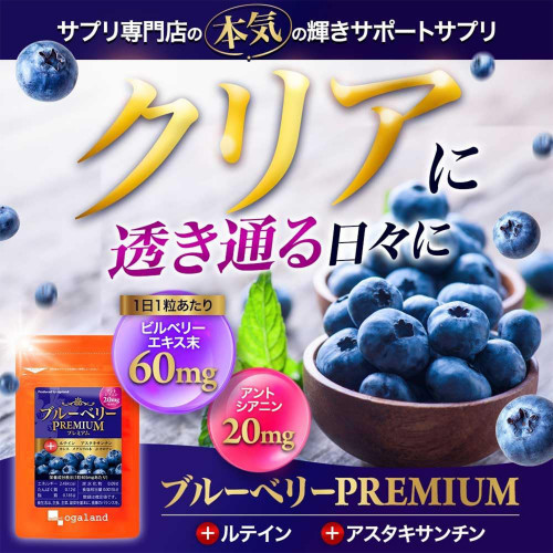 Комплекс для зрения с черникой Ogaland Blueberry Premium Eye — поддержка зрения и защита глаз при нагрузке