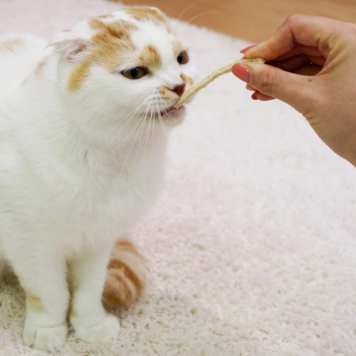 CattyMan Cat White Flesh — зубные палочки с белой рыбой для кошек