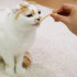 CattyMan Cat White Flesh — зубные палочки с белой рыбой для кошек